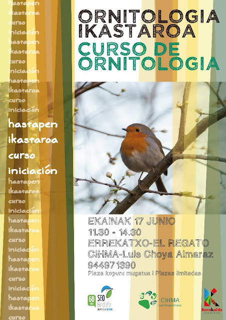 Cartel del curso gratis para familias de iniciación a la ornitología