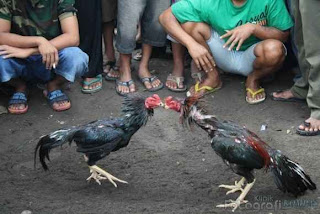 Visit Jateng, Indonesia 2013|Gawok Market