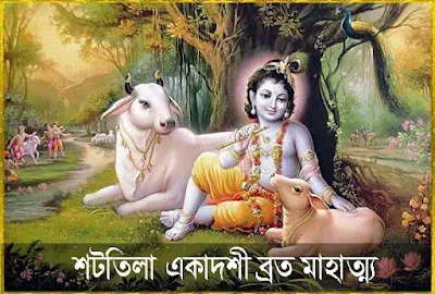 ষটতিলা একাদশী ব্রত মাহাত্ম্য