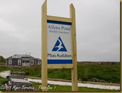 Allens Pond