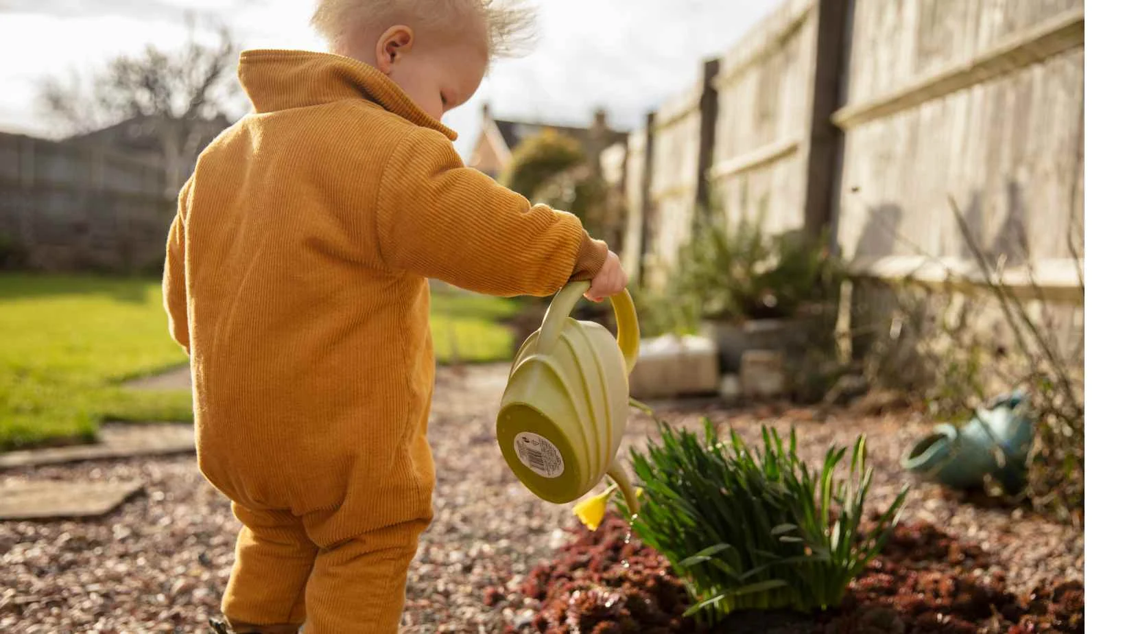A toddler watering some plants, a stock image from Canva Pro