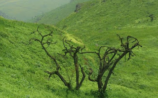 imagen paisaje de huaral