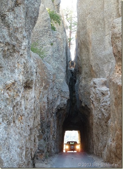 2013 Sep 07_Needles Highway_0546