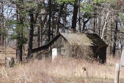 "The Leopold Shack"