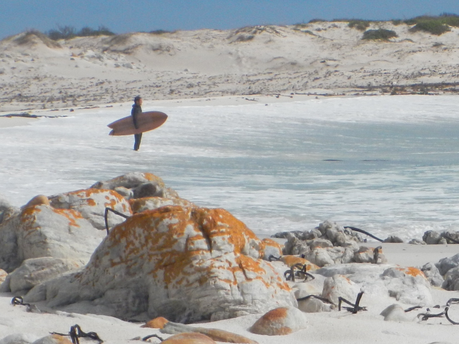 Thomas Bauer Surfboards