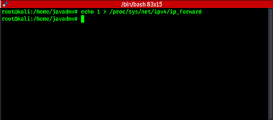 Ip_forwarding in kali