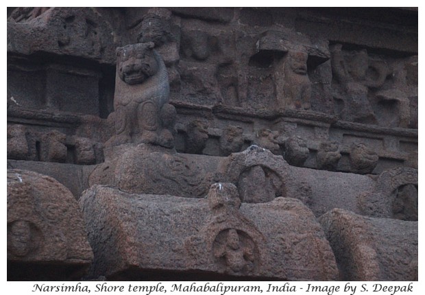 Narsimha statues - Shore Temple complex, Mahabalipuram, Tamilnadu, India - Image by Sunil Deepak