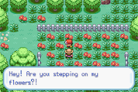 Pokemon Radish and Celery Screenshot 01