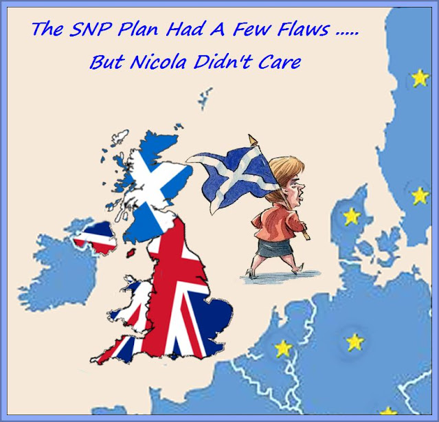 The SNP Plan Has A Few Flaws