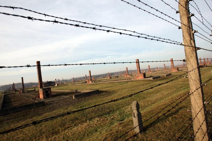 Auschwitz (9)