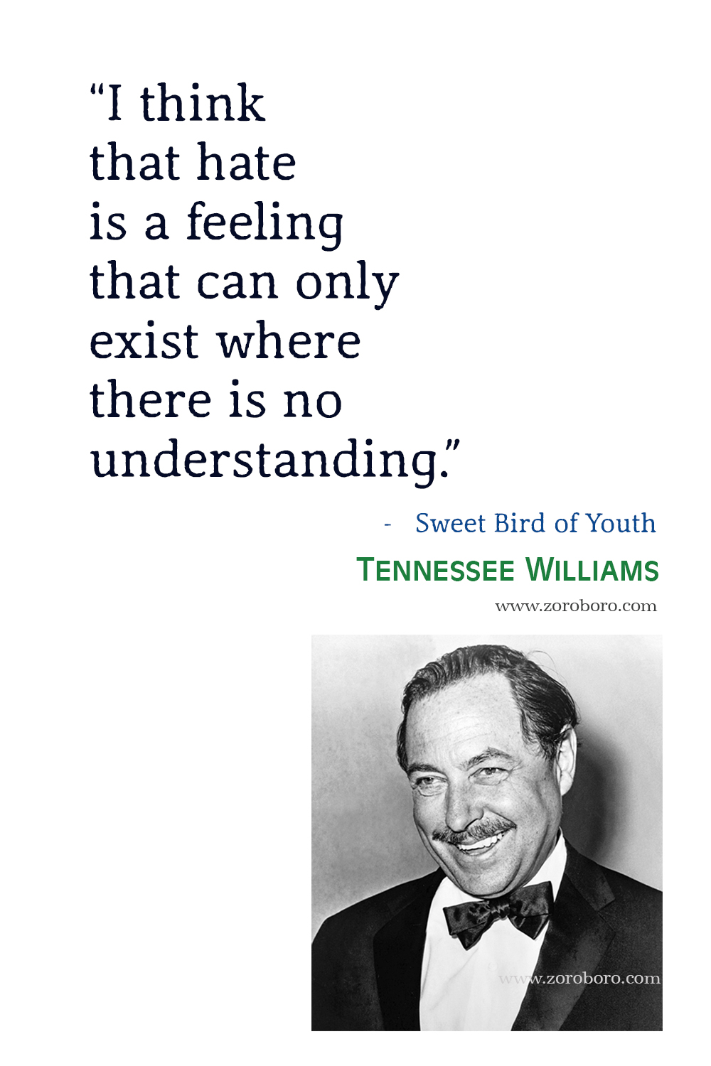 Tennessee Williams Quotes, Tennessee Williams Books Quotes, Tennessee Williams A Streetcar Named Desire, Love, Life, Happiness & Success Quotes, Tennessee Williams Poems, Poetry, Tennessee Williams The Glass Menagerie Quotes, Tennessee Williams Cat on a Hot Tin Roof Quotes.