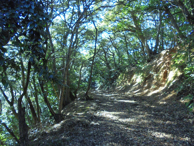 清水展望台(清水公園)の裏道から帰ります