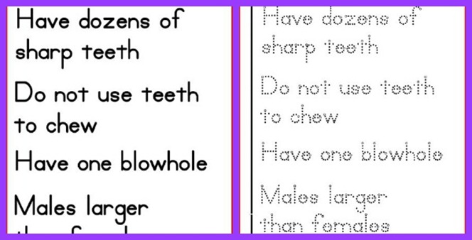Image of text options for lapbook