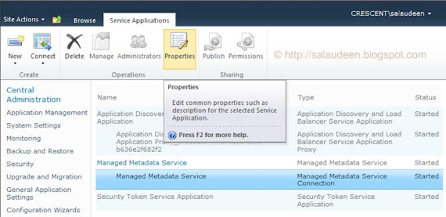 Manage Service Applications application Properties
