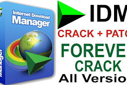 Download Idm 6.29 Build 02 Crack Free Full Version