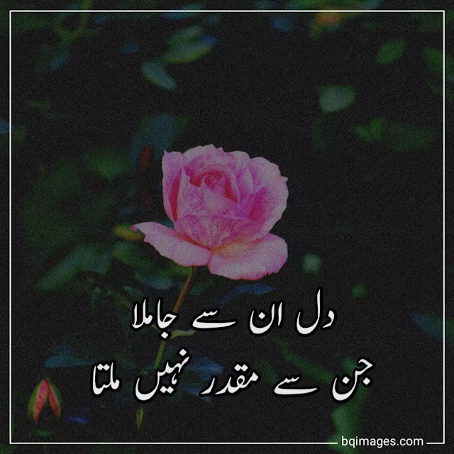 Urdu Shayari DP