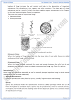 kingdom-fungi-descriptive-question-answers-biology-11th