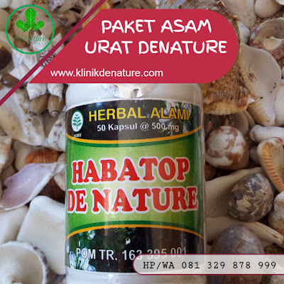 OBAT ASAM URAT DAN KOLESTEROL DI APOTIK