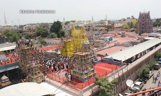 Sri TheliyaSingar , Sri Gajendra Varadhar, Samrokshanam, 2016, Video, Divya Prabhandam,Sri Parthasarathy Perumal, Triplicane,Thiruvallikeni,Utsavam,