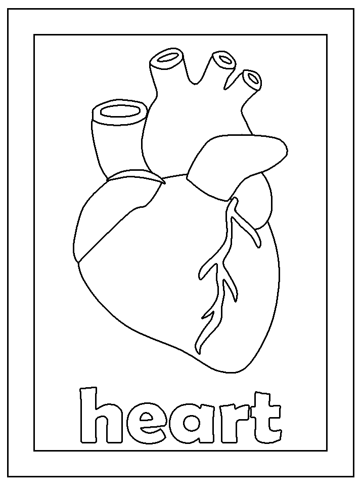 Download Fun Coloring Pages: Human Body Coloring Pages