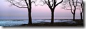 Desktop Widescreen Wallpaper 39