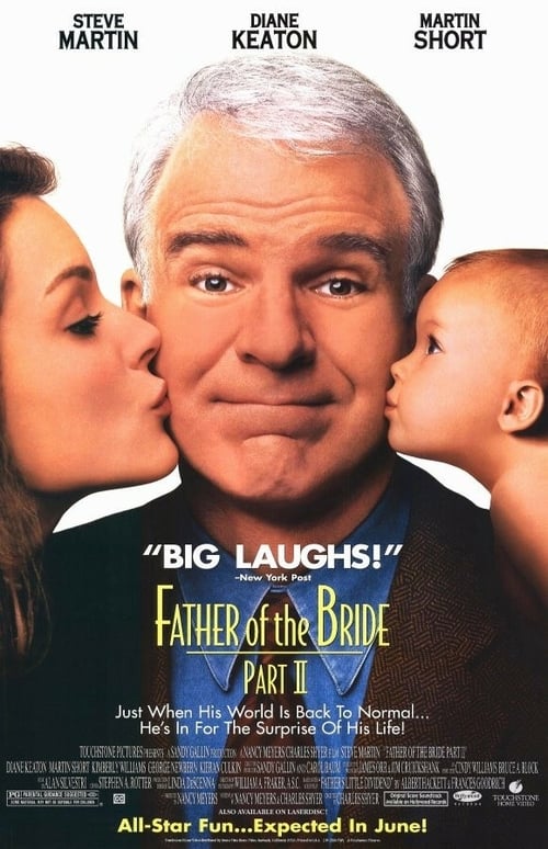 [HD] Vuelve el padre de la novia (Ahora también abuelo) 1995 Pelicula Completa En Castellano