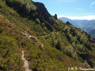 Foz del río Freno