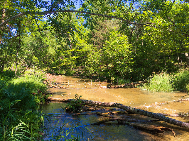 Ice Age Trail Mecan River Segment