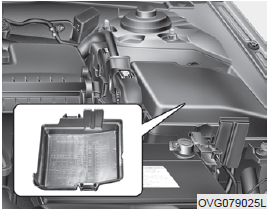 Engine compartment fuse panel Location