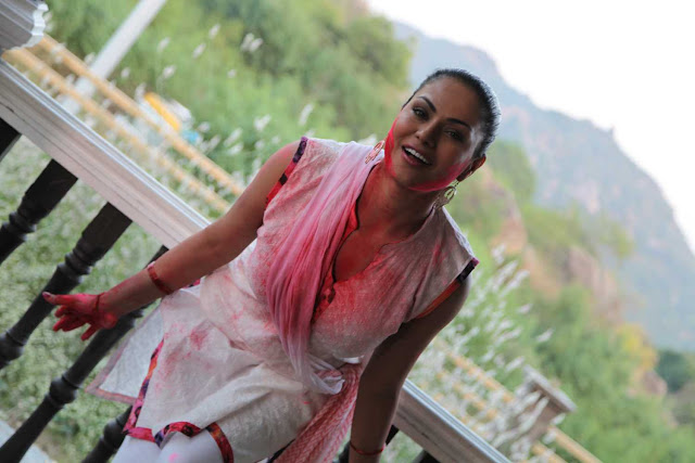 Veena Malik holi celebration 2013