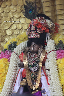 Sri Krishna Jayanthi, Kutty, Kannan, Purappadu,2016, Video, Divya Prabhandam,Sri Parthasarathy Perumal, Triplicane,Thiruvallikeni,Utsavam,