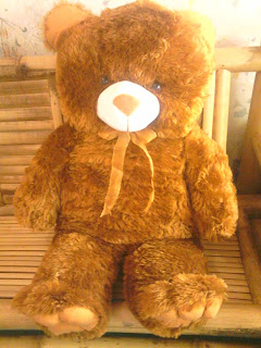 mencuci boneka besar