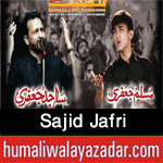 http://www.humaliwalayazadar.com/2015/04/sajid-jafri-nohay-2003-to-2016.html