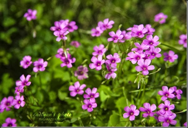 D700_2013-10-17_001