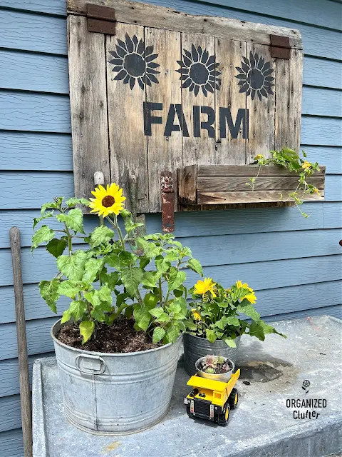 Photo of a barn door sunflower farm sign planter.