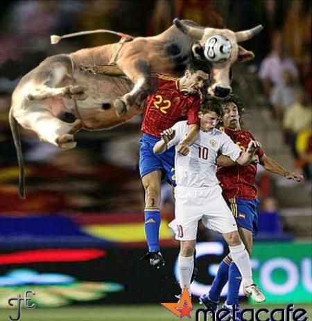 Gambar Lucu Sapi Sundul Bola Foto dan Gambar Lucu