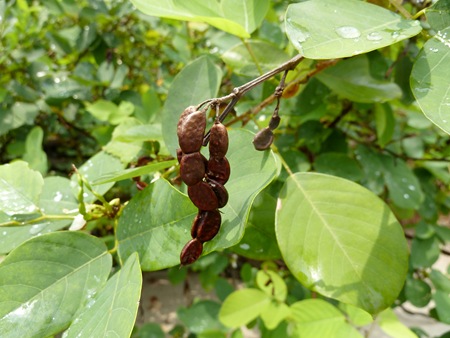P1030033