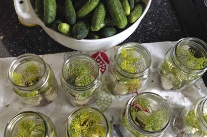 homemade_dill_pickles.jpg.662x0_q100_crop-scale