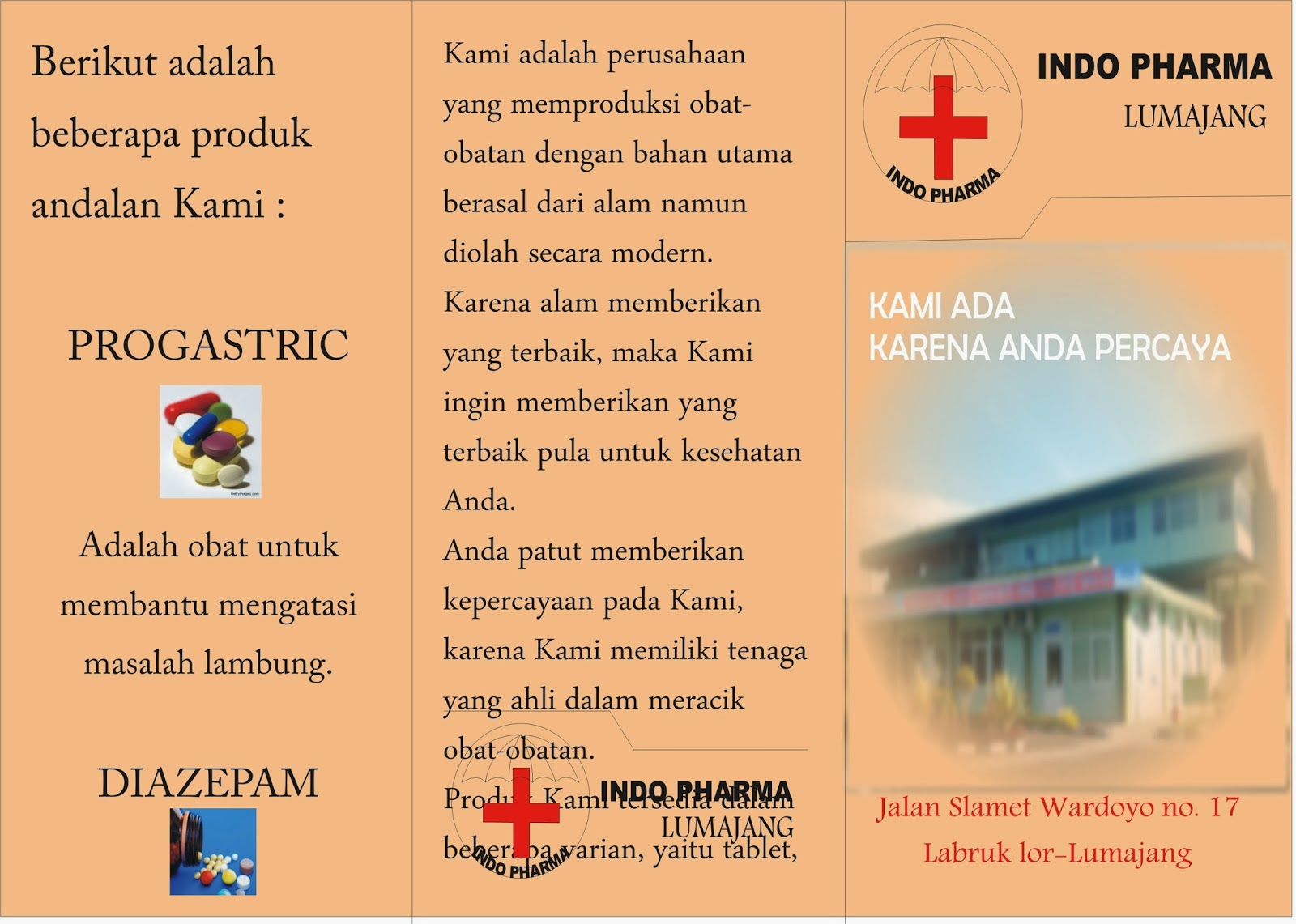 Contoh Brosur Obat Paracetamol - Hontoh