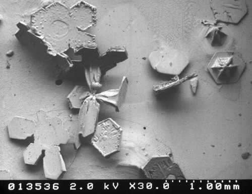 snow-microscope (16)
