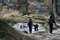 Popularne i chętnie odwiedzane szczyty Beskidu Śląskiego, czyli Klimczok i Szyndzielnia zestawione w jedną widokową pętlę.