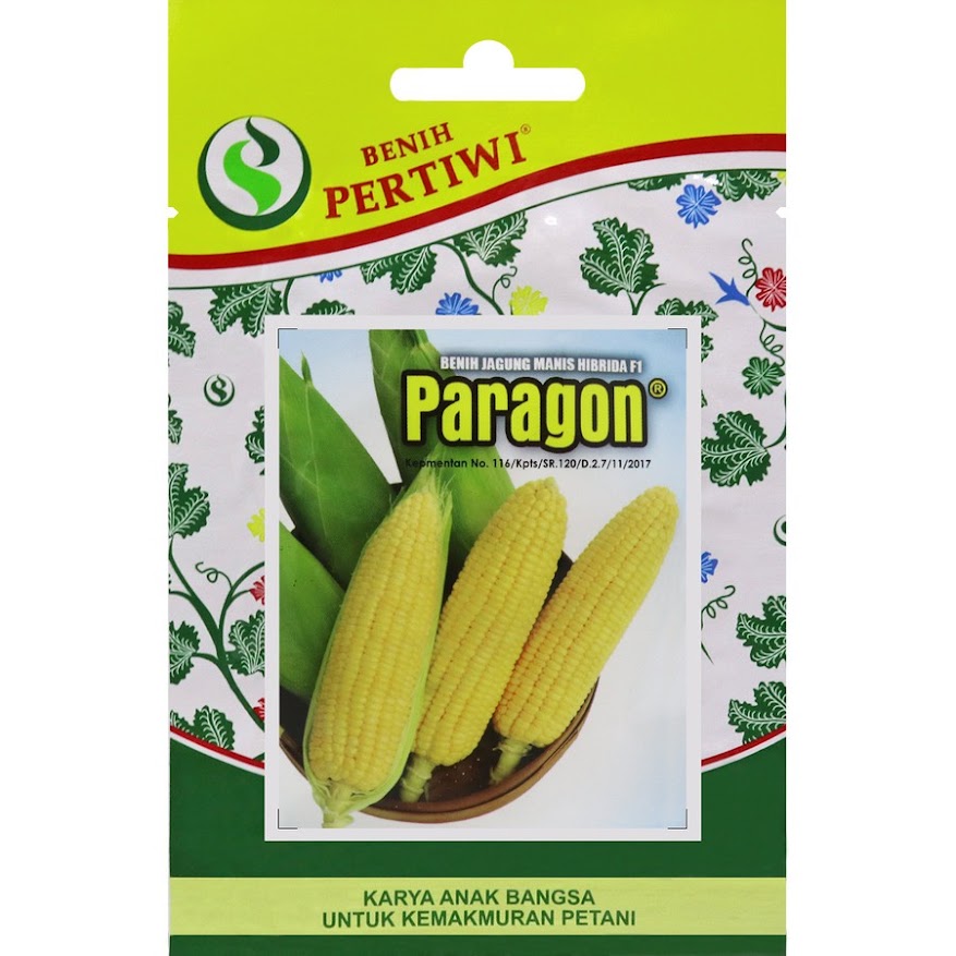 Jual Benih Jagung Manis Hibrida Paragon Jawa Barat