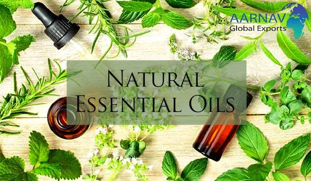 Top Natural Essential Oils manufacturer in India and entire world at low rate - Aarnav Global Exports.