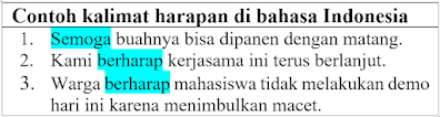 25 Contoh Kalimat Harapan dan Ciri-Cirinya di Bahasa Indonesia