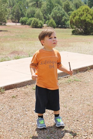 Nash is 3 and Glorieta 343