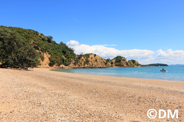 Photo de la plage de Mai Mai à Rotoroa Auckland Nouvelle-Zélande