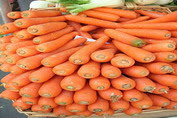 Signs and Symptoms of Carrot Allergy