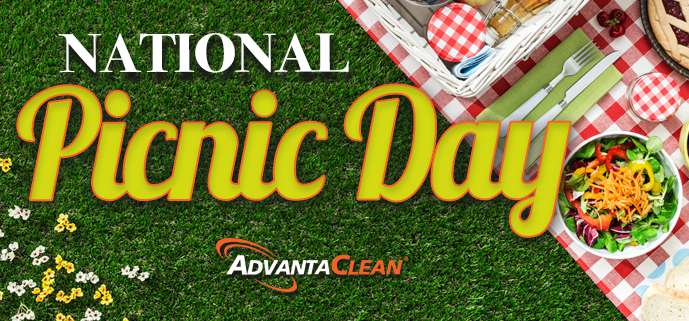 National Picnic Day Wishes Images