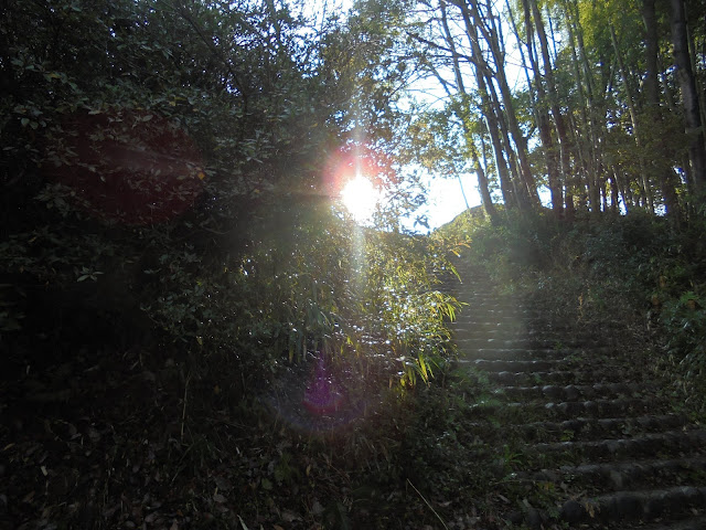 福市遺跡公園