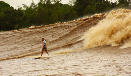 Berselancar di Gelombang Sungai "Bono River" Riau